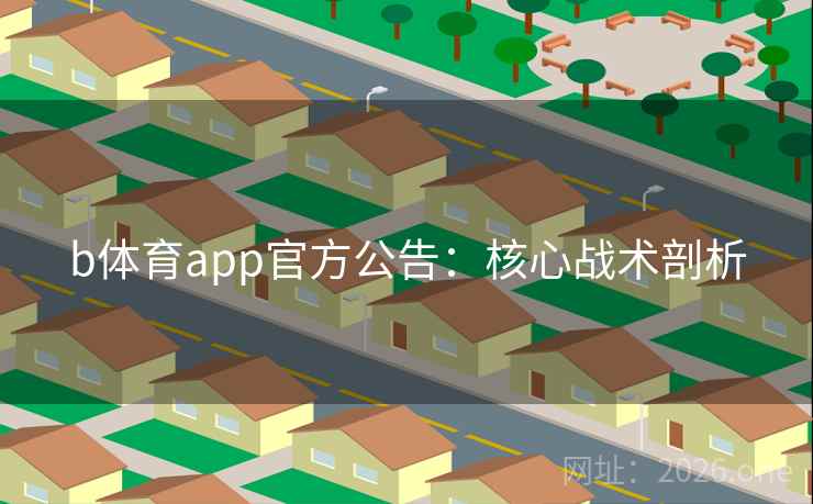 b体育app官方公告：核心战术剖析