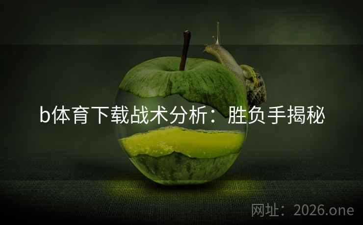 b体育下载战术分析：胜负手揭秘