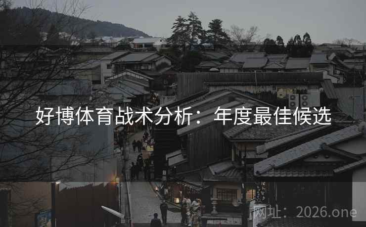 好博体育战术分析:年度最佳候选 好博体育战术分析:年度最佳候选