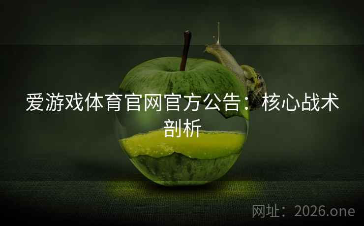 爱游戏体育官网官方公告:核心战术剖析 爱游戏体育官网官方公告:核心战术剖析