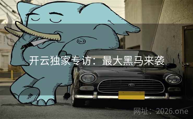 开云独家专访：最大黑马来袭