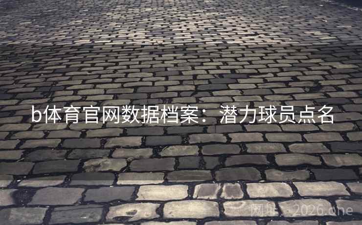 b体育官网数据档案：潜力球员点名