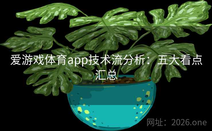 爱游戏体育app技术流分析：五大看点汇总